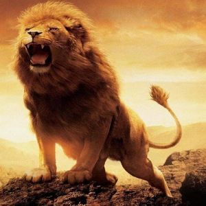 Meet your Posher, Federico